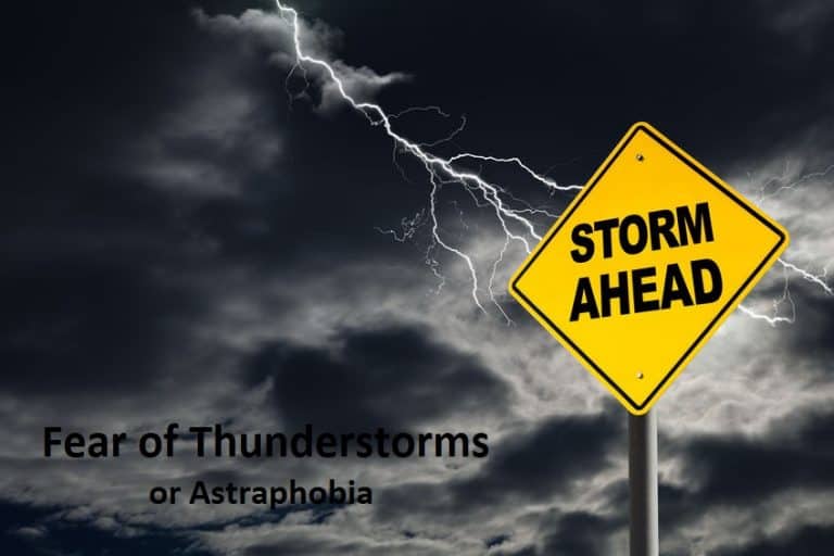 pathological fear of thunderstorms