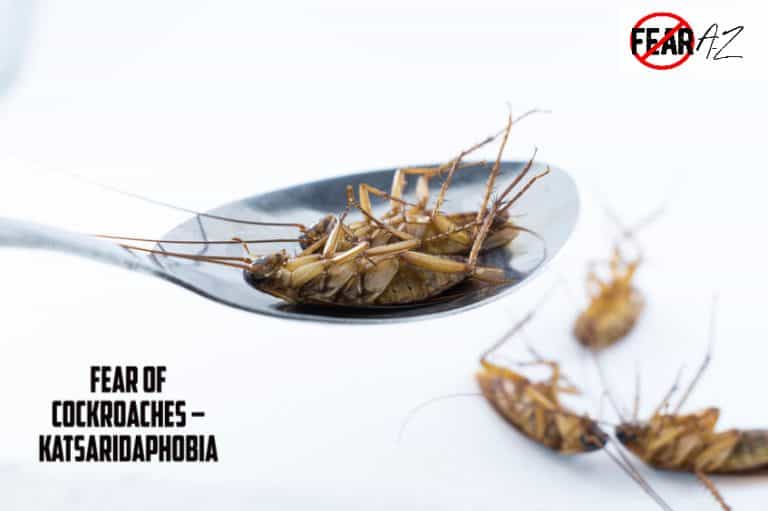 Fear of Cockroaches - Katsaridaphobia