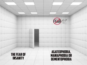 Dementophobia fear of 2025 insanity