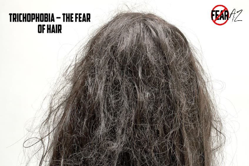 Can your hair really turn white from fear