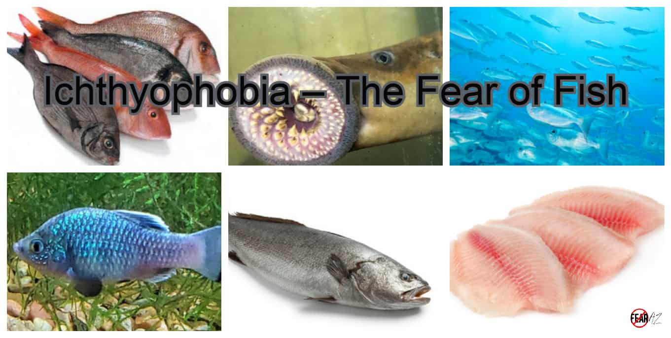 Ichthyophobia – The Fear of Fish