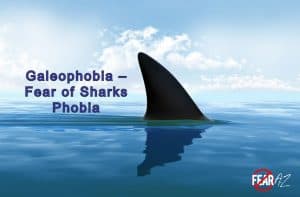 phobia overcome illogical possible