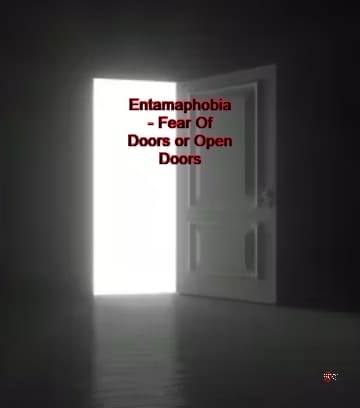 Fear of Doors Phobia - Entamaphobia