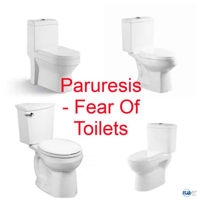 Paruresis Fear of Toilets