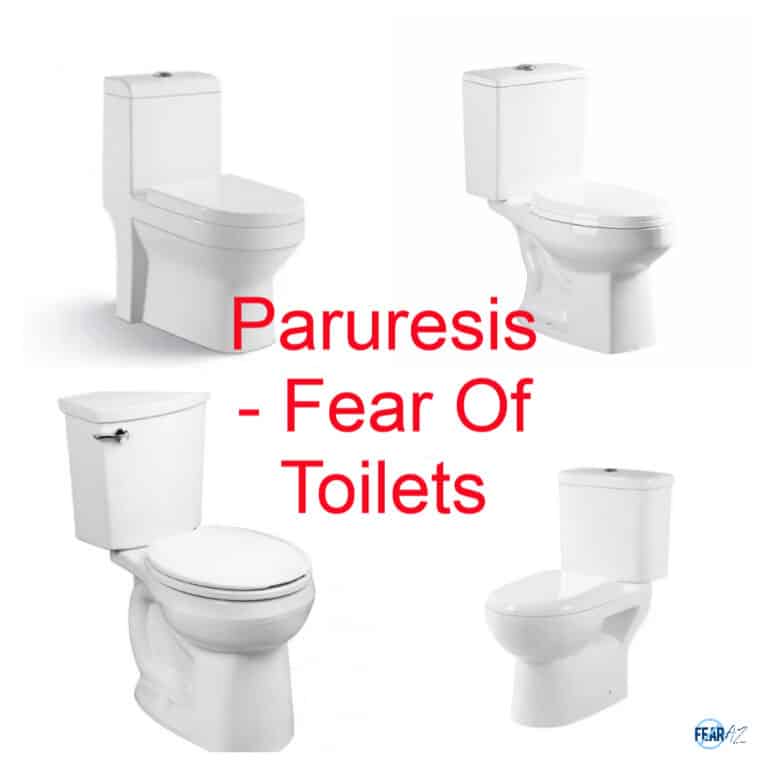 Paruresis Fear of Toilets